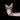 Soulwax  -  All Systems Are Lying