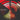Indies 140g Recycled Red Vinyl