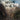 BILL CALLAHAN  -  DREAM RIVER