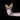 Soulwax  -  All Systems Are Lying