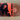 Crystal Red Method Transparent