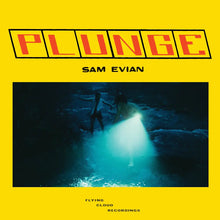 Load image into Gallery viewer, SAM EVIAN - PLUNGE
