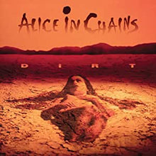 Load image into Gallery viewer, ALICE IN CHAINS - DIRT
