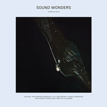 VARIOUS ARTISTS - SOUND WONDERS: A SERIES OF EPICS