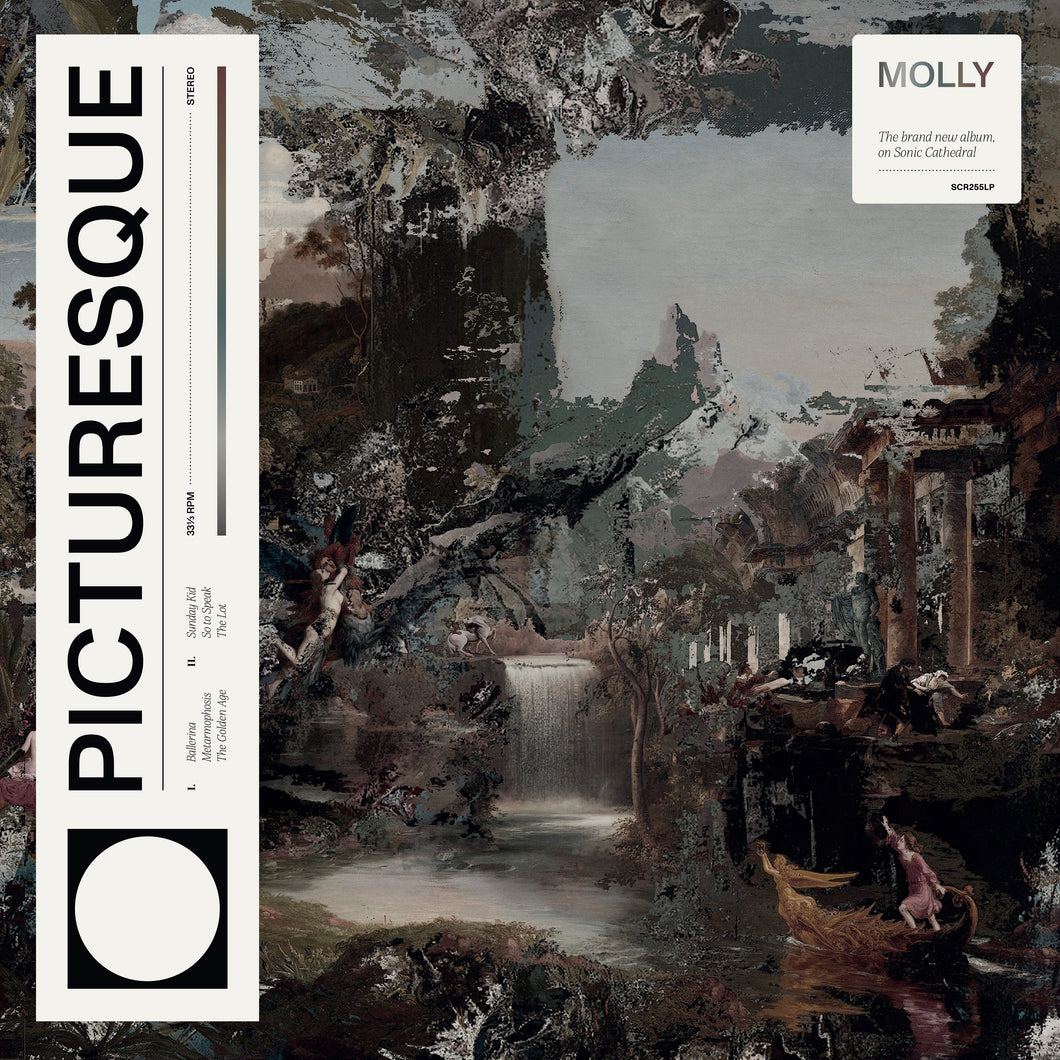 MOLLY - PICTURESQUE