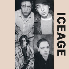 Load image into Gallery viewer, ICEAGE - SHAKE THE FEELING: OUTTAKES AND RARITIES 2015-2021
